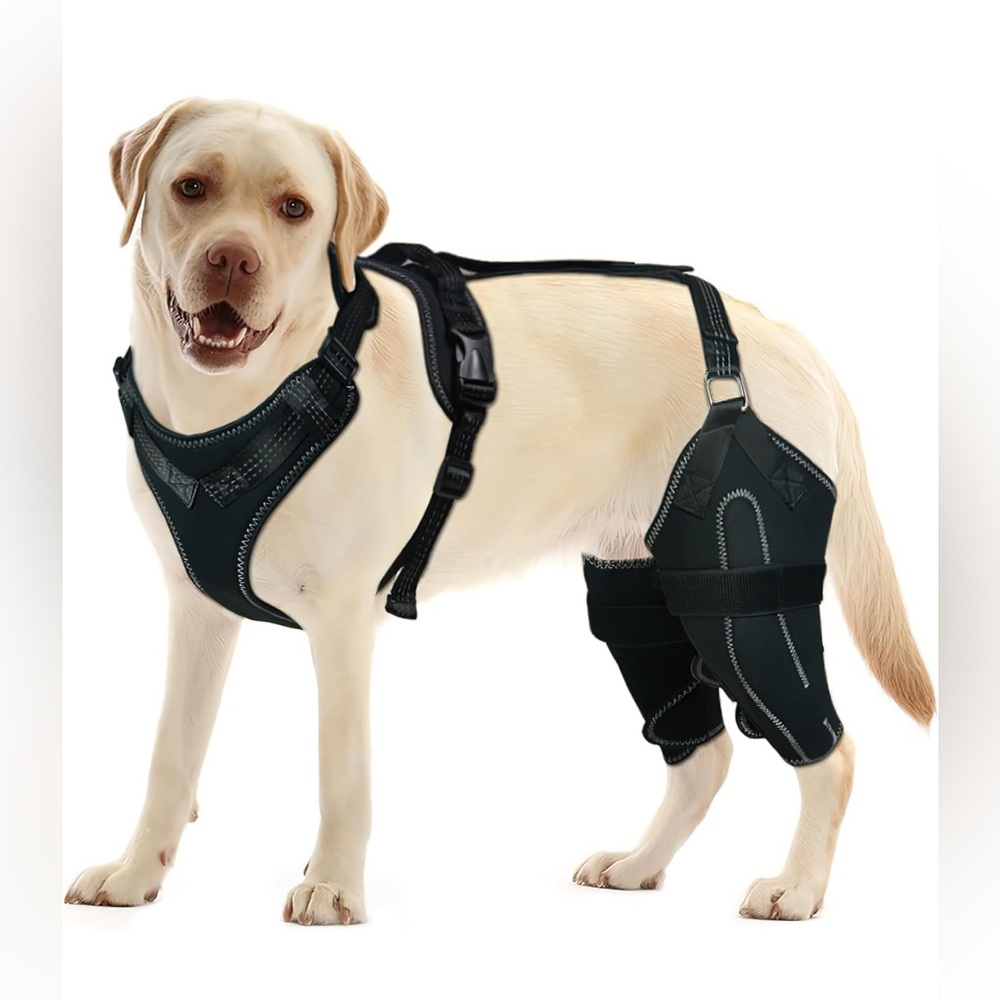 Lispoo Dog Acl Knee Brace for Torn Acl Leg